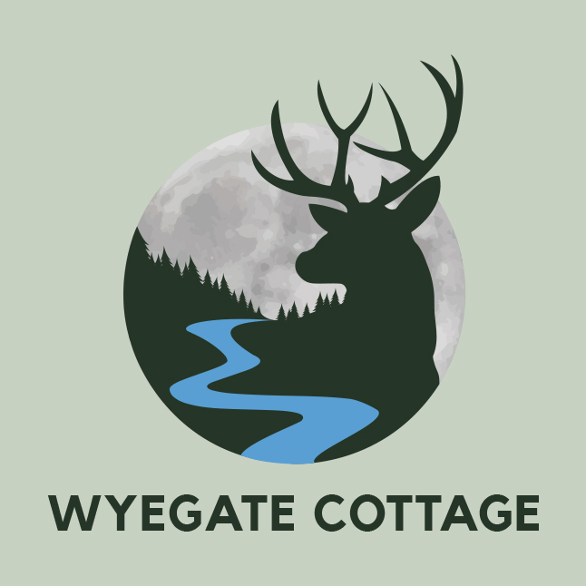 Accommodation in Symonds Yat
